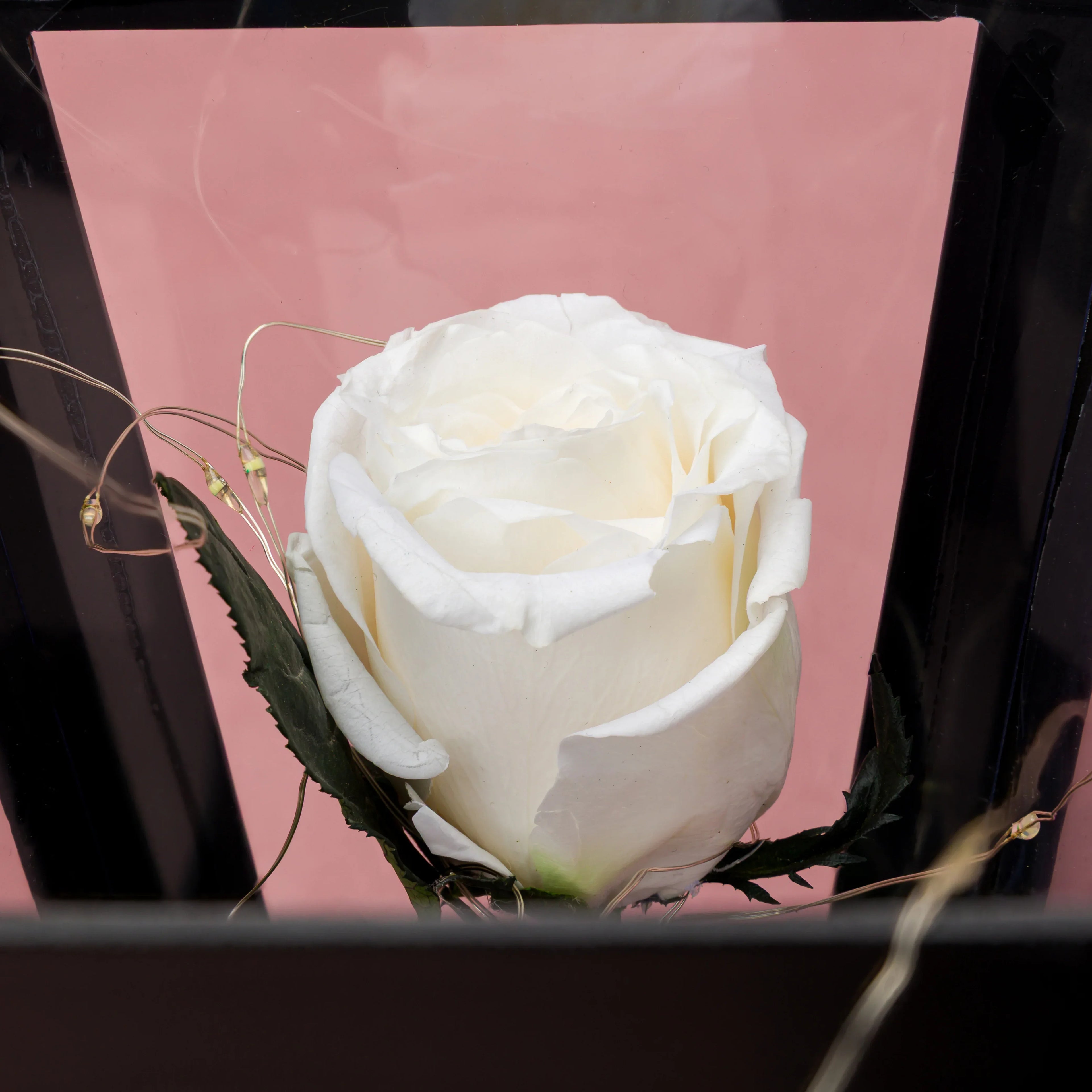 Trandafir criogenat în cupolă de sticlă, decoratiune florala premium