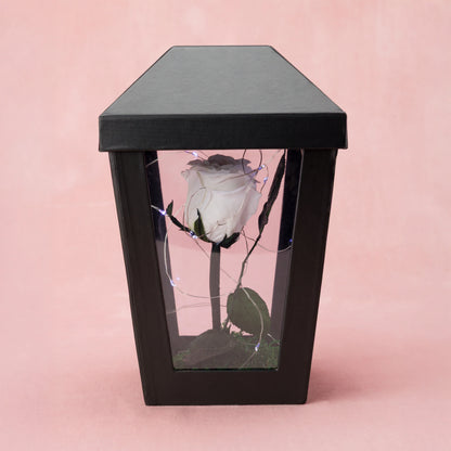 Trandafir criogenat în cupolă de sticlă, decoratiune florala premium