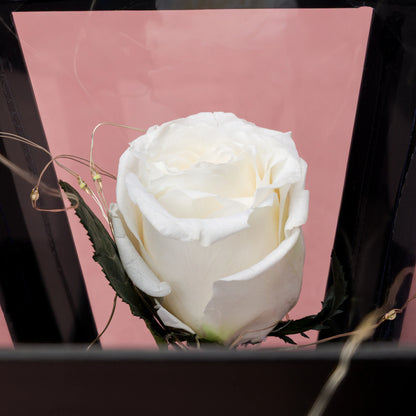 Trandafir criogenat în cupolă de sticlă, decoratiune florala premium