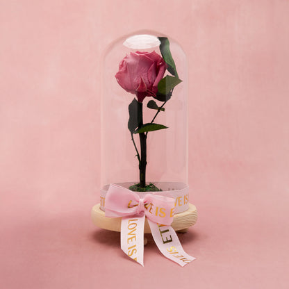 Trandafir criogenat în cupolă de sticlă, decoratiune florala premium