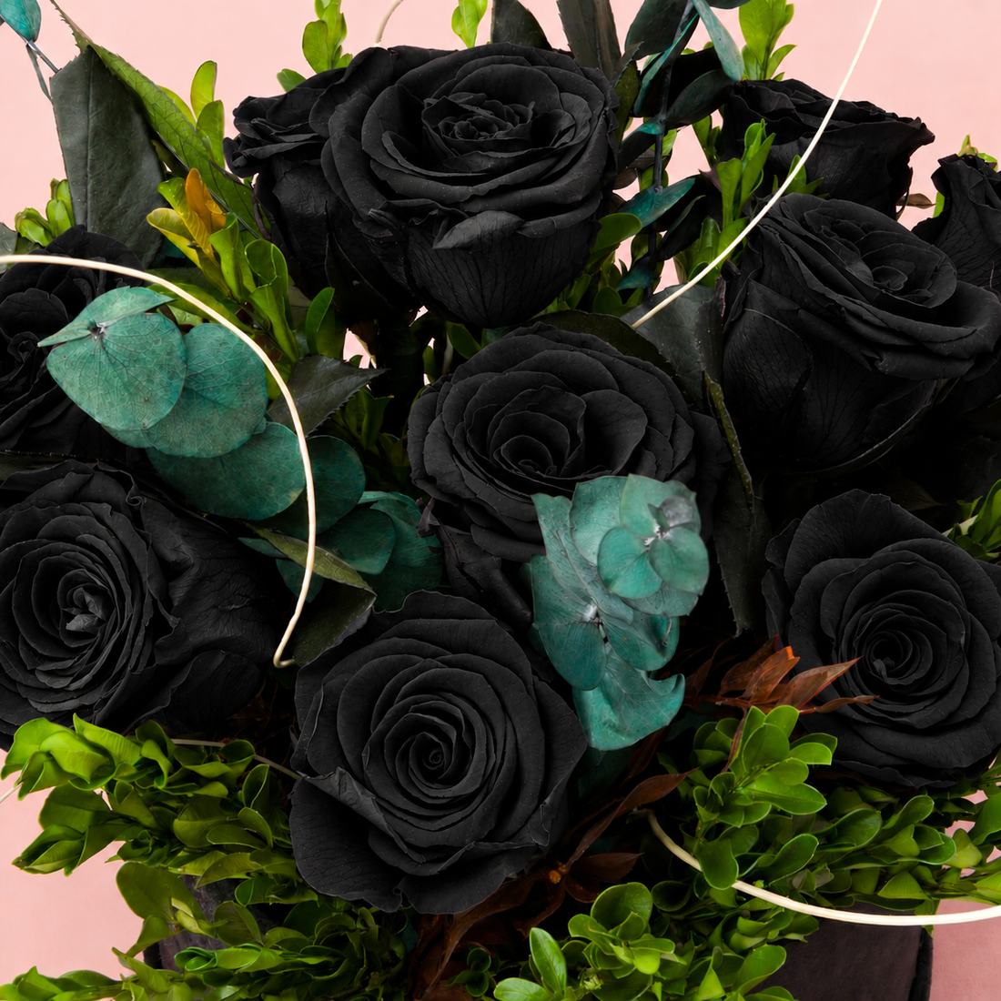 Black Velvet