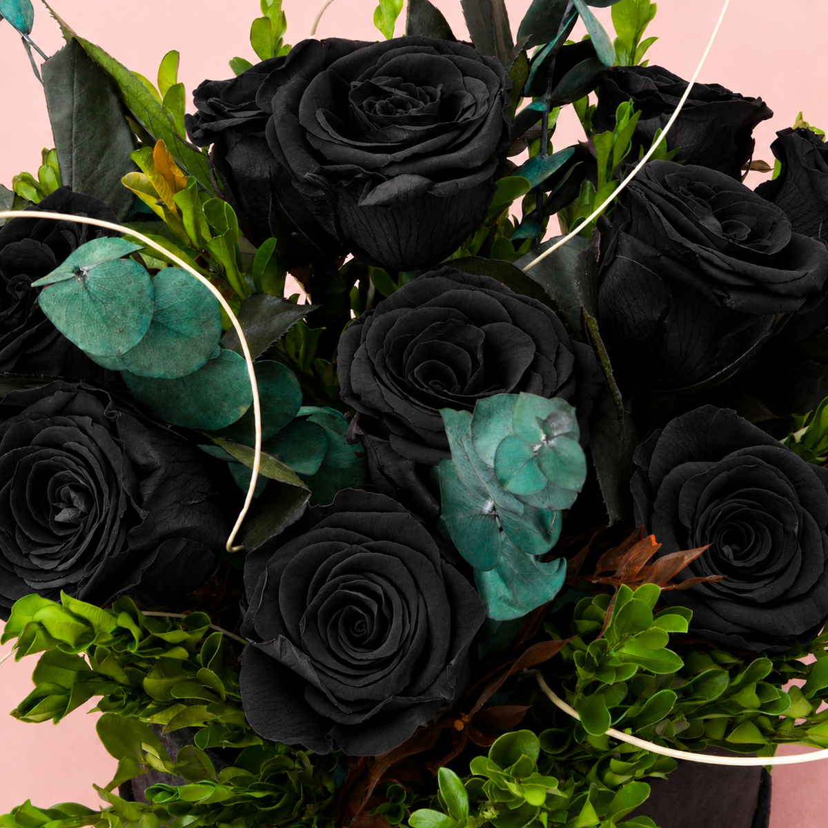 Black Velvet
