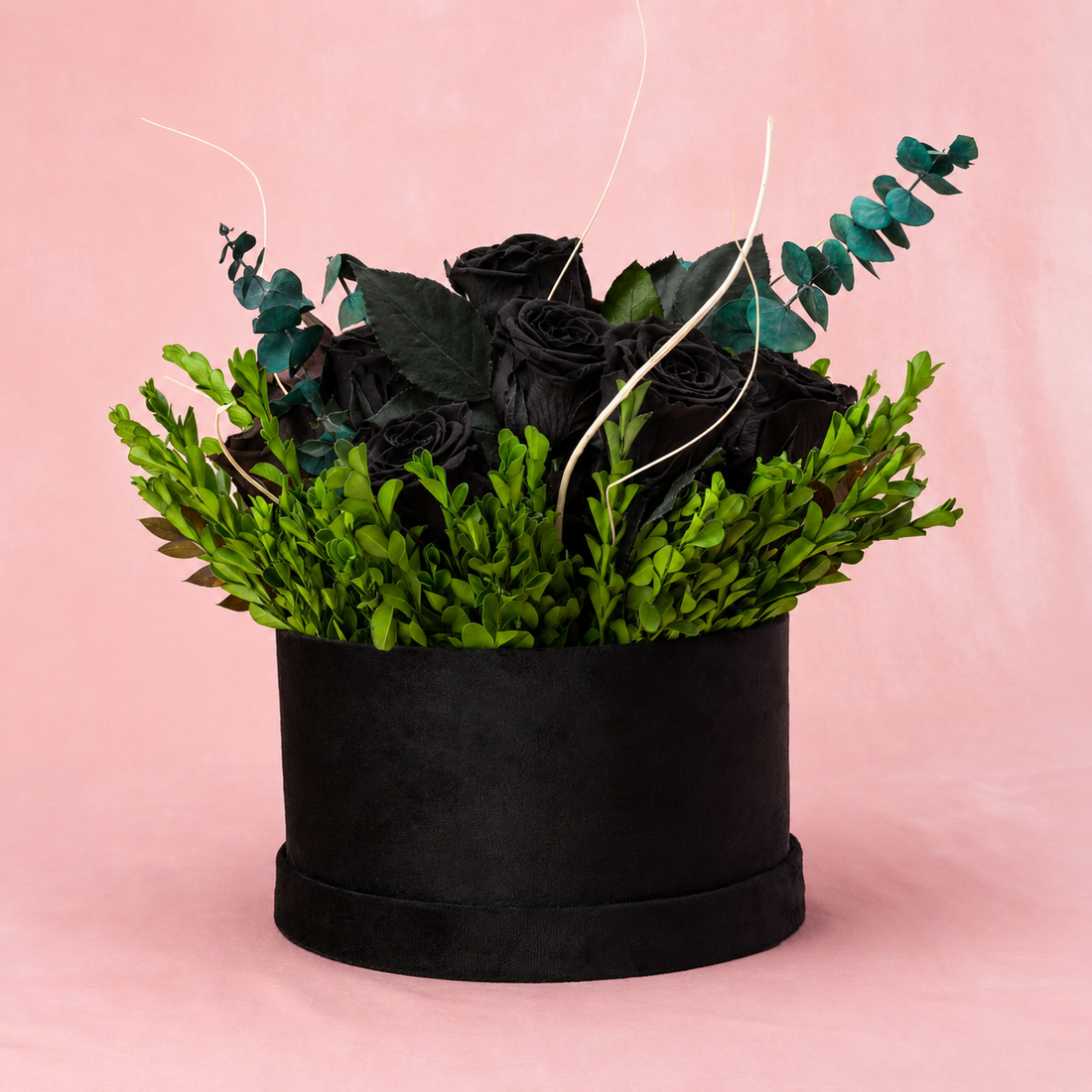 Black Velvet
